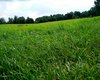 Weideland Blumenhagen Große Anzahl aktueller Bauernhäuser, Bauernhöfe, Reiterhöfe, alte Mühlen - hier finden auch Sie IHR Bauernhaus, Bauernhof, Reiterhof oder alte Mühle!